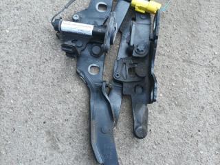 петля капота левая BMW Z4 E89 (2009 - 2016), 2.0 л., i, N20 B20 B, бензин, МКПП, b39 mineral-grau metallic, родстер, задний привод, правый руль, 7285817