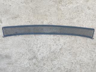 сетка (собачник) BMW Z4 E89 (2009 - 2016), 2.0 л., i, N20 B20 B, бензин, МКПП, b39 mineral-grau metallic, родстер, задний привод, правый руль, 9129789