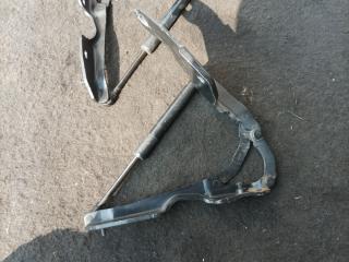 петля крышки багажника BMW Z4 E89 (2009 - 2016), 2.0 л., i, N20 B20 B, бензин, МКПП, b39 mineral-grau metallic, родстер, задний привод, правый руль