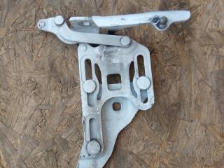 петля капота левая BMW X5 E70 [рестайлинг] 2013, 3.0 л., N57 D30 A, дизель, АКПП, внедорожник 5 дв., правый руль, 7148347