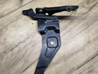 петля капота левая BMW X5 M E70 2010, 4.4 л., S63 B44 A, бензин, АКПП, внедорожник 5 дв., 7208627