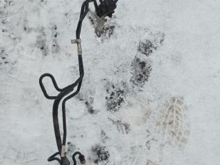 трубка системы DynamicDrive BMW X5 M E70 2010, 4.4 л., S63 B44 A, бензин, АКПП, внедорожник 5 дв., 6783680, 6783679