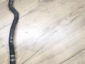 патрубок радиатора BMW X3 G01 2020, 2.0 л., B47 D20 B, дизель, АКПП, 416, внедорожник 5 дв., полный привод, 6993457, 64216993457 - фото №2