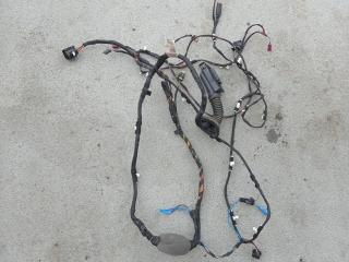 дверная проводка BMW X3 G01 [рестайлинг] G01 2022, 4.0 л., дизель, АКПП, внедорожник 5 дв., полный привод, 5A21DA1