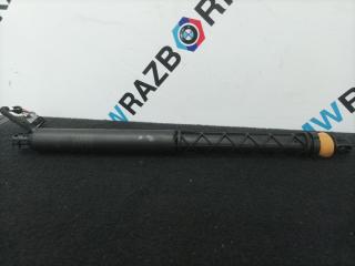 Амортизатор заднего борта BMW X5 G05 2019, 5.0 л., дизель, АКПП, 475, внедорожник 5 дв., полный привод, правый руль, 7461669