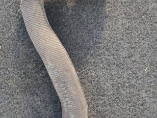 патрубок радиатора BMW 6 GT G32 2017, 3.0 л., D, B57 D30 A, дизель, АКПП, хетчбэк 5 дв., задний привод, правый руль, 9299619