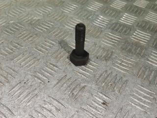 болт двигателя Nissan Primera P11 1999, 1.6 л., бензин, МКПП, хетчбэк 5 дв.