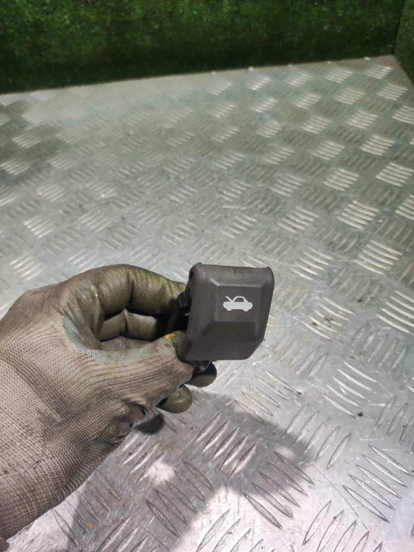 ручка открывания капота Hyundai Trajet 1 поколение 2004, 2.0 л., G4JP, бензин, АКПП, минивэн - фото №1