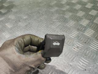 ручка открывания капота Hyundai Trajet 1 поколение 2004, 2.0 л., G4JP, бензин, АКПП, минивэн