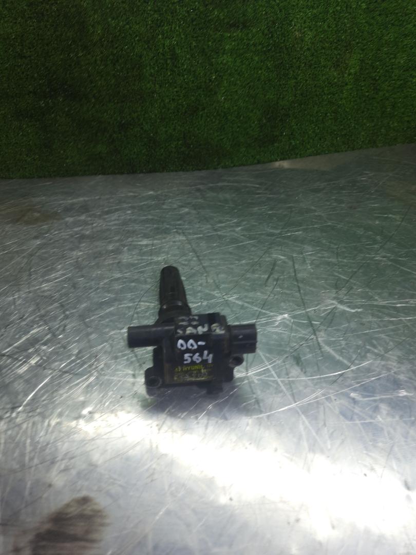 катушка зажигания Hyundai Trajet 1 поколение 2004, 2.0 л., G4JP, бензин, АКПП, минивэн - фото №1