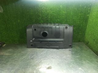 декоративная крышка двигателя Hyundai Elantra XD 2001, 1.6 л., бензин, МКПП, хетчбэк 5 дв.