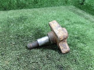 цапфа задняя Renault Laguna 1 поколение 1997, 1.8 л., бензин, МКПП, хетчбэк 5 дв.