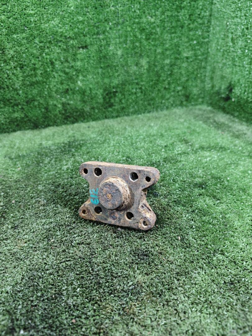 цапфа задняя Renault Laguna 1 поколение 1997, 1.8 л., бензин, МКПП, хетчбэк 5 дв. - фото №1