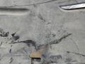 защита арок передняя левая (подкрылок) Mercedes-Benz S-Класс W221 2007, 5.5 л., M 273.968, бензин, АКПП, седан, A2216900730 - фото №7