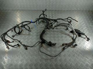 проводка двигателя Infiniti FX35 2 поколение 2010, 3.5 л., VQ35HR, бензин, внедорожник 5 дв.