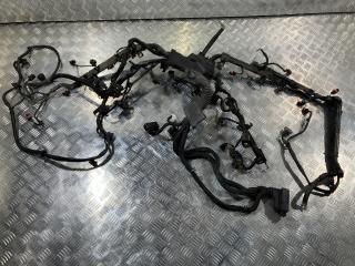 проводка двигателя Porsche Panamera 970 2009, 4.8 л., M 48.40, бензин, АКПП, 94860715500, 94860700502