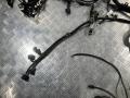 проводка двигателя Mercedes-Benz GL-Класс X164 [рестайлинг] 2010, 4.7 л., M 273.923, бензин, АКПП, внедорожник 5 дв., A2730109100 - фото №5