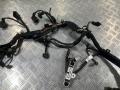 проводка двигателя Mercedes-Benz GL-Класс X164 [рестайлинг] 2010, 4.7 л., M 273.923, бензин, АКПП, внедорожник 5 дв., A2730109100 - фото №6