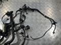 проводка двигателя Mercedes-Benz GL-Класс X164 2007, 4.7 л., M 273.923, бензин, АКПП, внедорожник 5 дв., A2730103002 - фото №2