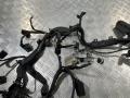проводка двигателя Mercedes-Benz GL-Класс X164 2006, 4.7 л., M 273.923, бензин, АКПП, внедорожник 5 дв., A2730103002 - фото №6