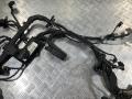 проводка двигателя Mercedes-Benz GL-Класс X164 2006, 4.7 л., M 273.923, бензин, АКПП, внедорожник 5 дв., A2730103002 - фото №5