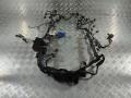 проводка двигателя Land Rover Range Rover Sport 1 поколение [рестайлинг] 2011, 5.0 л., 508PS, бензин, внедорожник 5 дв., AH23-12B637-BF - фото №3