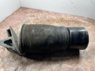 пневмоподушка DAF XF 106 1 поколение 2018, 12.9 л., MX-13 390 H2, дизель, АКПП, 130900367