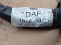 дверная проводка DAF XF 105 1 поколение 2012, 12.9 л., MX 340, дизель, АКПП, белый, 1818448 - фото №3