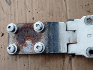 петля двери DAF XF 105 1 поколение 2007, 12.9 л., MX 300, дизель, АКПП, 1299112