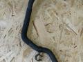 патрубок (трубопровод, шланг) BMW X3 G01 2018, 3.0 л., B58 B30 A, бензин, АКПП, a300, внедорожник 5 дв., полный привод, 17127535565, 7535565 - фото №4