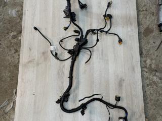 проводка двигателя BMW X3 G01 [рестайлинг] G01 2022, 2.0 л., B46 B20 B, бензин, АКПП, 475, внедорожник 5 дв., задний привод, 5A01D59, 5A09BF5, 12515A01D59