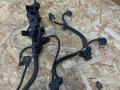 проводка двигателя BMW X7 G07 [рестайлинг] G07 2023, 3.0 л., B58B30P, бензин, АКПП, a96, внедорожник 5 дв., полный привод, 5A59434, 5A59433, 12515A59434 - фото №3