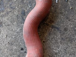 патрубок интеркулера Mercedes-Benz, A2125280682, A2125280882, A2045281482