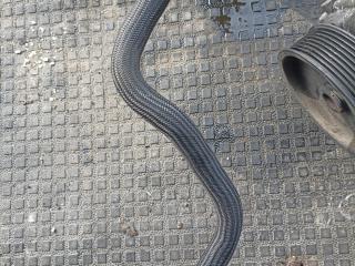 шланг гидроусилителя Mercedes-Benz S-Класс W221 2007, 3.0 л., OM 642.930, дизель, АКПП, A2219970582