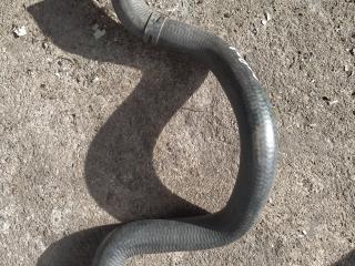 патрубок (трубопровод, шланг) Mercedes-Benz C-Класс W203/S203/CL203 2003, 2038320304