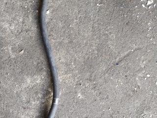 патрубок (трубопровод, шланг) Mercedes-Benz E-Класс W211/S211 2005, дизель, АКПП, универсал, A2115011225