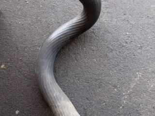 патрубок интеркулера Mercedes-Benz C-Класс W204/S204 2009, 1.8 л., A2045282682