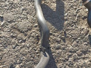 патрубок радиатора Mercedes-Benz CLK-Класс C209/A209 [рестайлинг] 2005, A2095011982