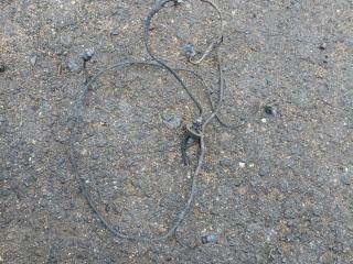 проводка датчиков парковки Mercedes-Benz M-Класс W164 2007, 3.0 л., OM 642.940, дизель, АКПП, правый руль