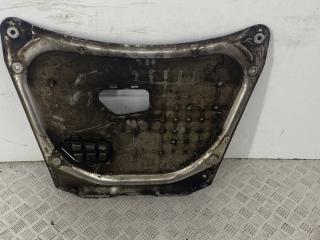 защита двигателя BMW X5 E53 [рестайлинг] E53 2005, 3.0 л., M57 D30 (306D2), дизель, АКПП, внедорожник 5 дв., 31101095656