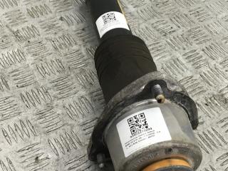 амортизатор задний левый BMW X5 E70 2008, 3.0 л., N52 B30, бензин, АКПП, spacegrau metallic (a52), внедорожник 5 дв., полный привод, 33526781921, 6781921