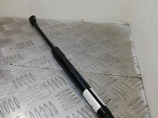 амортизатор капота BMW X5 E70 2008, 3.0 л., N52 B30, бензин, АКПП, spacegrau metallic (a52), внедорожник 5 дв., полный привод, 7148346, 51237148346