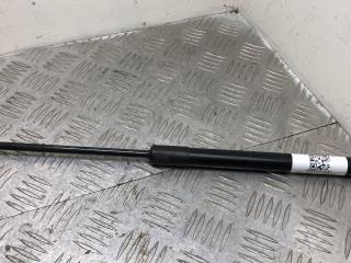 амортизатор капота BMW X5 E70 2008, 3.5 л., M57D30 (306D5), дизель, АКПП, spacegrau metallic (a52), внедорожник 5 дв., полный привод, правый руль, 7148346, 51237148346