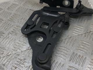 петля капота правая BMW X5 E70 2008, 3.5 л., M57D30 (306D5), дизель, АКПП, spacegrau metallic (a52), внедорожник 5 дв., полный привод, правый руль, 7148348, 41007198618