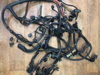 проводка двигателя BMW 5 серия F10/F11 [рестайлинг] F10 2013, 2.0 л., N20 B20 B, бензин, АКПП