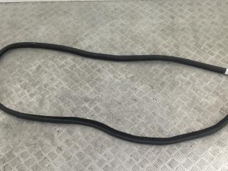 уплотнитель двери BMW 5 серия E60/E61 2006, 7033776