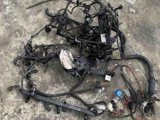проводка двигателя BMW X5 E70 (2006 - 2010), 3.0 л., M57 D30 (306D5), дизель