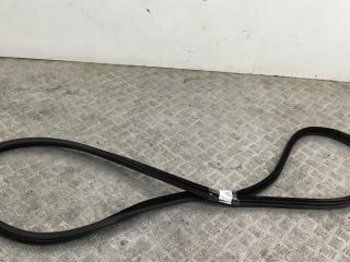 уплотнитель двери BMW 5 серия F10/F11 [рестайлинг] F10 2016, 2.0 л., B47 D20 A, дизель, АКПП, spacegrau metallic (a52), седан, задний привод, правый руль, 51767182287