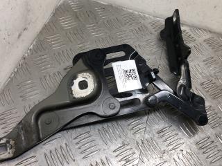 петля капота левая BMW X5 E70 [рестайлинг] 2012, 3.0 л., N57 D30 A, дизель, АКПП, black sapphire metallic (475), внедорожник 5 дв., 41007198617, 7148347