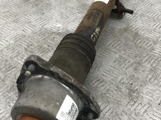 амортизатор задний правый BMW X6 E71/E72 E71 2009, 3.5 л., M57D30 (306D5), дизель, АКПП, monacoblau (a35), внедорожник 5 дв., полный привод, правый руль, 33526783018, 6783018